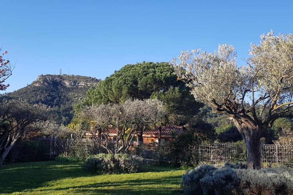 Sous Le Grand Pin Gites Eden En Cevennes Anduze Buitenkant foto